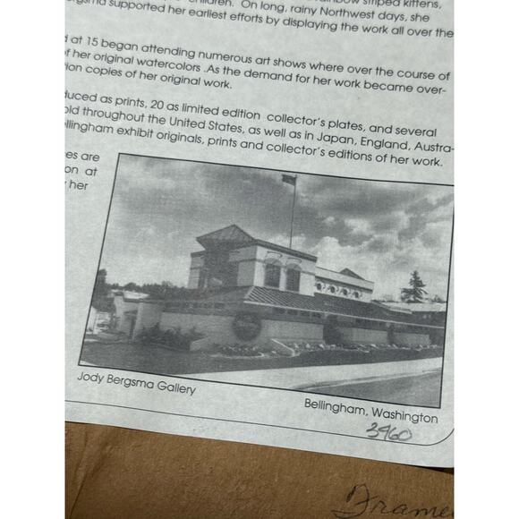 Jody Bergsma Eagle Spirit Art Print Framed Matte Signed Numbered Native American - Picture 10 of 15